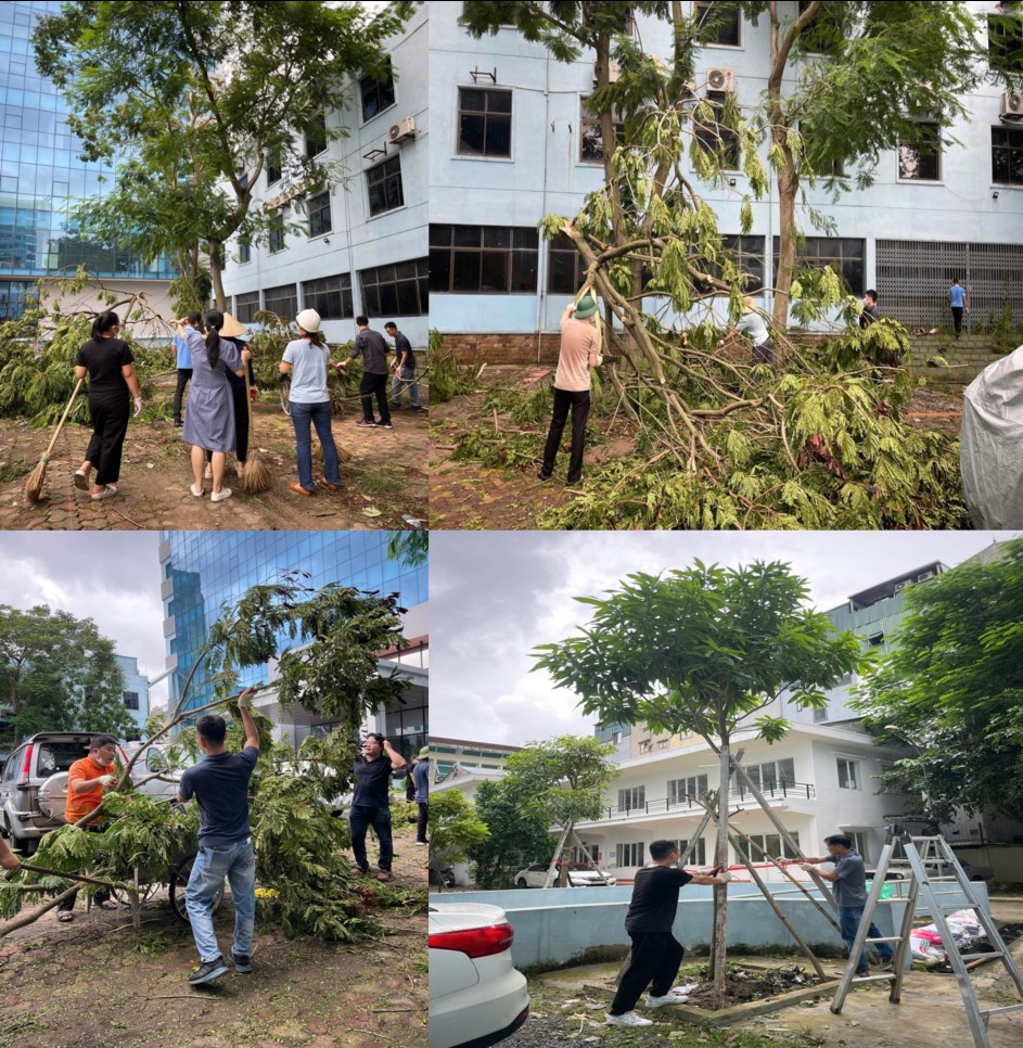 Cán bộ, đoàn viên thanh niên Viện Khoa học và Kỹ thuật hạt nhân tích cực khắc phục thiệt hại sau cơn bão số 3 (YAGI)